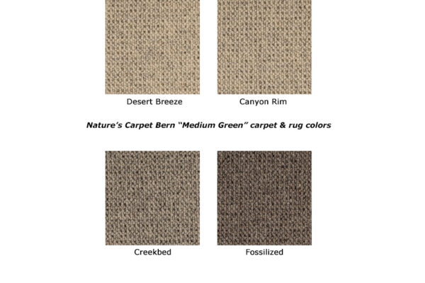 Bern natural wool carpet rugs